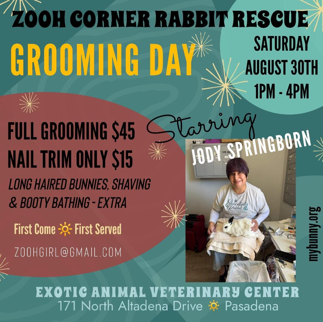 ZCRR Grooming Day Fundraiser with Jodi Springborn Aug 30, 2025